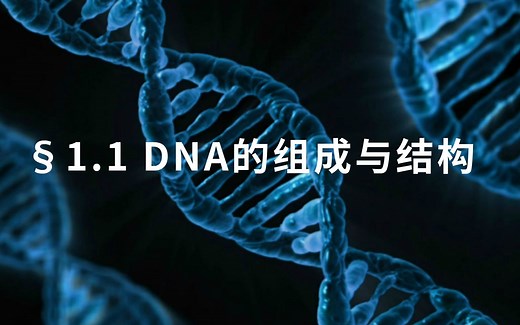 1.1 【微观生物】【基础课】DNA的组成与结构