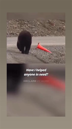 🗣: Thomas S. MMonson• “May the words of a familiar hymn penetrate our very souls and find lodgment in our hearts: Have I done any good in the world today? Have I helped anyone in need? Have I cheered up the sad and made someone feel glad? If not, I have failed indeed. Has anyone’s burden been lighter today Because I was willing to share? Have the sick and the weary been helped on their way? When they needed my help was I there? That service to which all of us have been called is the service of 