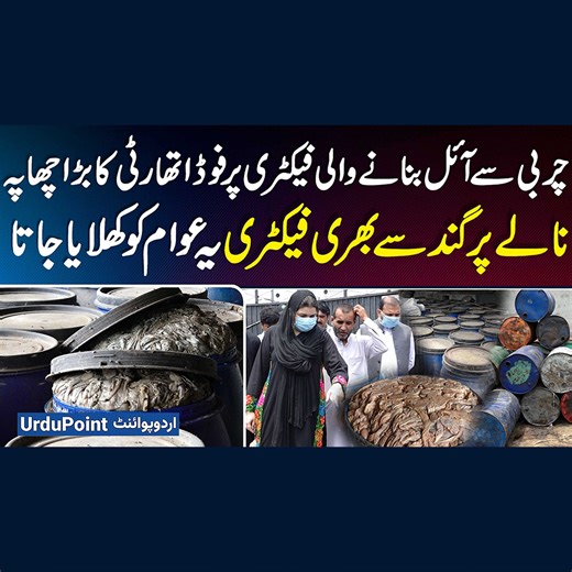 چربی سے آئل بنانے والی فیکٹری پر فوڈ اتھارٹی کا بڑا چھاپہ ۔ نالے پر گند سے بھری فیکٹری ۔ یہ عوام کو کھلایا جاتا #PunjabFoodAuthority #FoodAuthority #OilFactory #Raid #FakeOilMaking #AnimalFats #StingOperaion #Lahore | UrduPoint.com