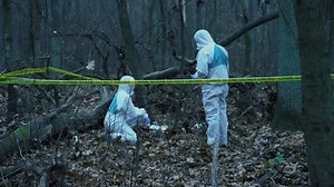 Two Forensic Experts Protective Gear Working Stock Footage Video (100% Royalty-free) 1019939395 | Shutterstock
