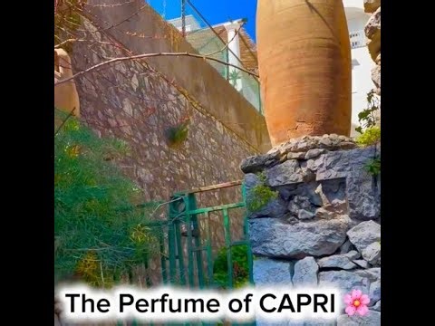 Capri Italy – Most Expensive Street, Perfume & Hidden Streets