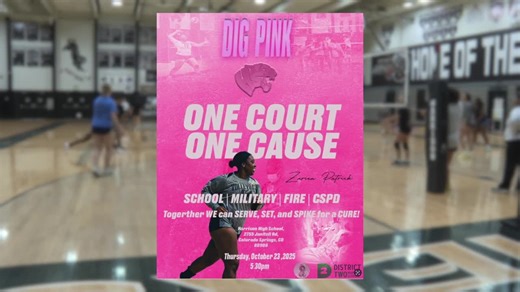 Harrison volleyball rallies for teammate with cancer, Dig Pink game Thursday