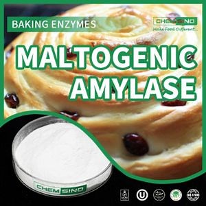 [Hot Item] Chemical Product Food Additive Baking Enzyme Bread Improver Maltogenic Amylase for Bakery