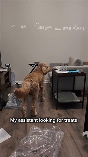 NASCAR 25 is so good, I bought a wheel and stand.