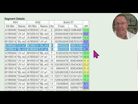 GEDmatch 3D Chromosome Browser for Genetic Genealogy Explained