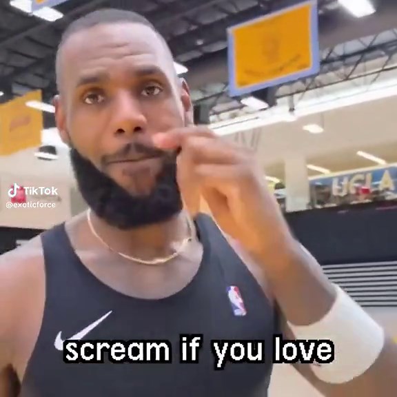 LeBron James Rhythm Heaven Memes Compilation