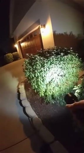 “WOOF WOOF IMA DOG🐶🗣️🔥🔥”#bodycam