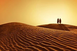 The best quotes about the Sun