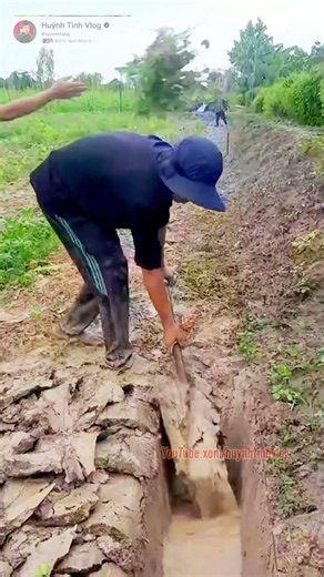Guy with masterful soil-digging skills using a spade 💥