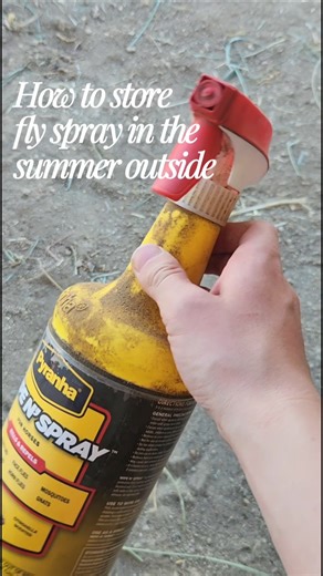 How to Store fly spray in the Summer Outside 💨🪰