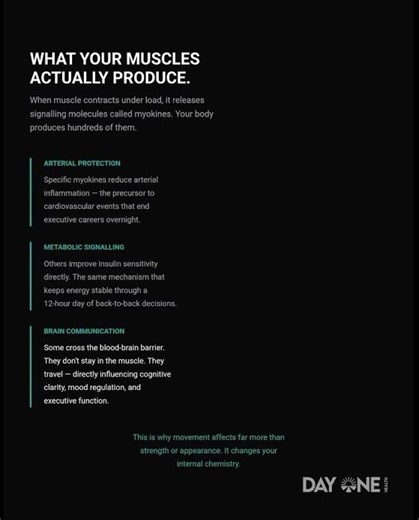 Your muscles don't just move you. They manufacture your medicine.Most executives never activate the