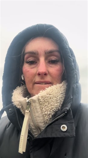 Understanding Dog Agility: The Performance Dogs Revolution