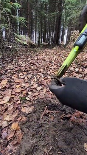 Equinox 800 Finds Treasure! Amazing Metal Detecting Discoveries | Aurum VK