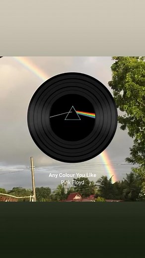 David Sloan on Reels