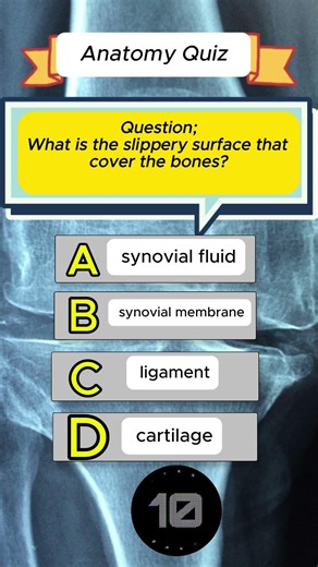 Joint Anatomy Quiz 🦴