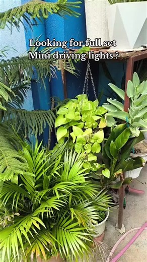 Affordable Mini Driving Lights✨💯 #minidrivinglight #affordablemotoraccessories #fyp