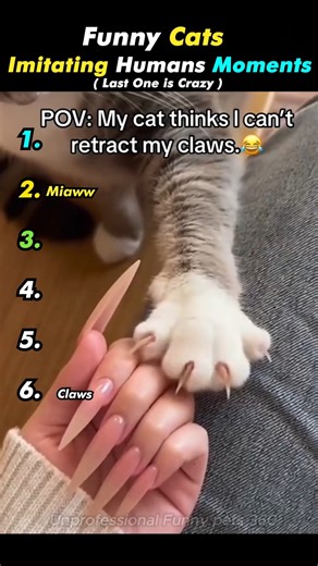 Funny Cats Imitate Humans 🤣 (Part - 2 ) #funnycat #catfails #ranking #funnyanimals