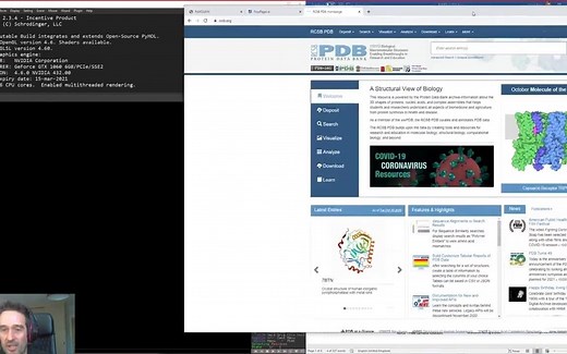 PyMOL教程1：介绍和基本用法