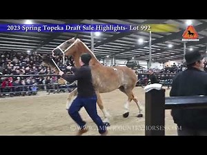 Spring 2023 Topeka Draft Horse Sale Highlights