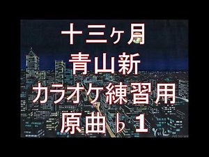 十三ヶ月/青山新 カラオケ練習用 原曲♭1