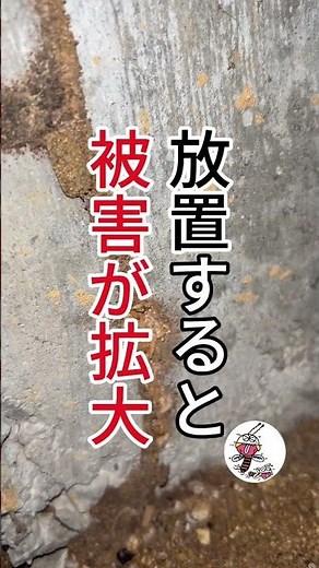 ヤマトシロアリ蟻道 （シロアリの生息あり）