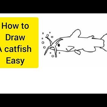 How to draw a catfish easy