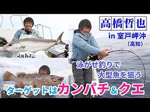 高橋哲也 高知・室戸岬沖の泳がせ釣りで大型魚カンパチやクエを狙う！