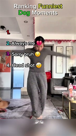 Ranking Funniest 4 Dog Moments ✨