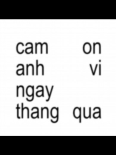 cam on anh..#fyp #brat #lyrics #exhateme2 #AMME