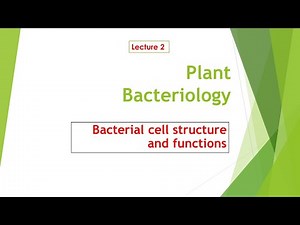 Bacterial cell structures and functions │Plant Bacteriology