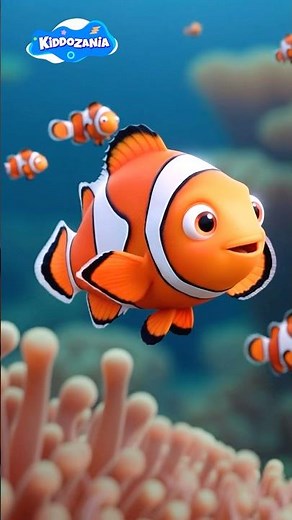 Learn Amazing Clownfish Facts for Kids