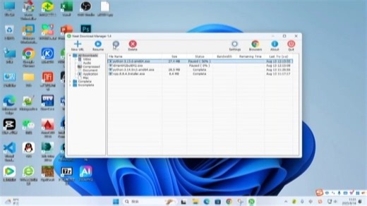 NDM下载与插件部署及使用方式