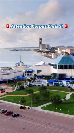 February just got better! Ready to save big and explore more in Corpus Christi? 🎟️ Members of at least one of these seven Corpus Christi educational and cultural attractions can enjoy HALF-PRICE admission at six local attractions when you show your membership card! 👨‍🎨 Art Center of Corpus Christi (get a FREE Corpus Christi Public Art Collection book! 📚) 🎨 Art Museum of South Texas 🔬 Corpus Christi Museum of Science & History 🌺 South Texas Botanical Gardens & Nature Center 🏯 Texas State 