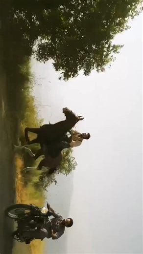 friends status video