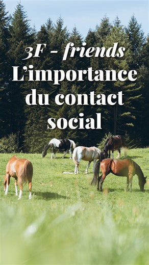 Hélène Ralda | vulgarisation scientifique & good vibes ✨ on Instagram: "🎁 CONCOURS 5 décembre 2025 - gagne ton petit guide Delachaux « comprendre facilement les chevaux » d’Hélène Roche : 📍 Abonne-toi à @helene.papote + @helene.roche.ethologie 📝 Tague au moins 2 amis en commentaire sous ce réel 💌Partage ce réel en story ⏳Tu as jusqu’au 26 décembre pour y participer 📞Le/la gagant/e sera annoncé sur Instagram le 26 décembre au soir et contacté par message privé ! En lien avec le contenu de ce