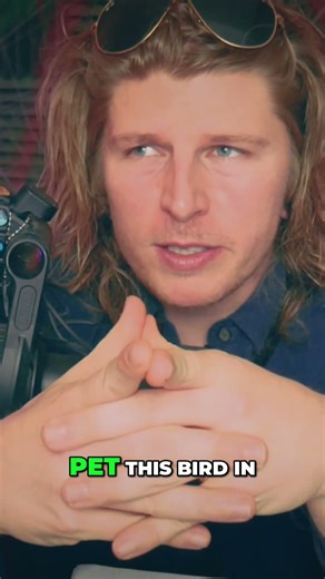 What She Did With Her Parrot Has People Concerned