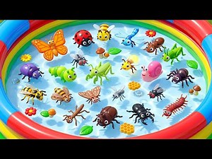 Insects for Kids: Butterfly, Bumblebee & Ladybug Adventure | Preschool Learning Animals