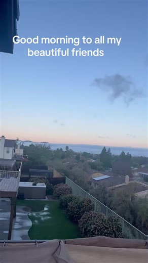 Back yard views with fog that looks like snow a little 😊😊