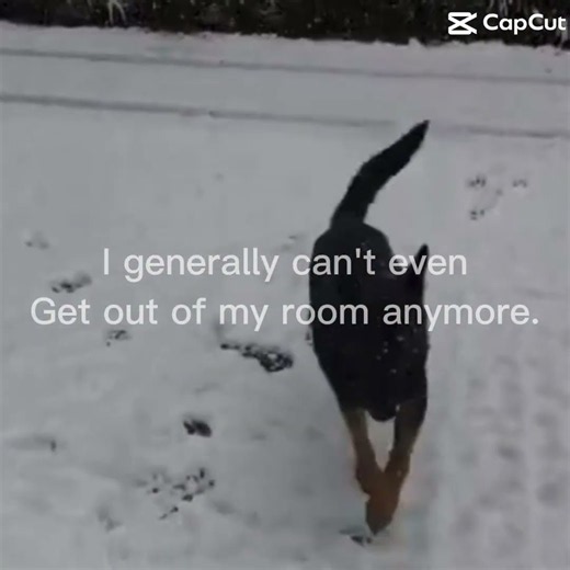 …