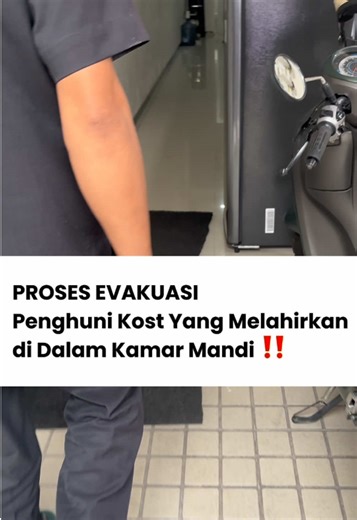 Evakuasi Hewan Melahirkan: Tips untuk Anak Kost