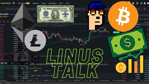 我是如何被THU/PKU Summer Camp榨干的