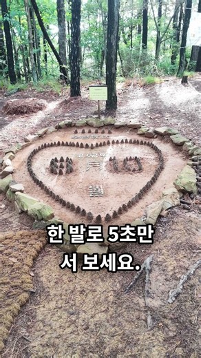 오늘도 움직임 완료! | 8월 10일 솔방울 달력