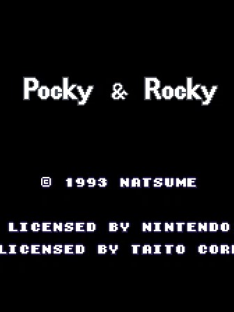 Pocky & Rocky: A Retro Gaming Adventure