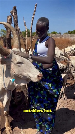 Why This Tribe Believes Cows Are Life Itself #shorts #africa #tribalunity #africanpeople #facts