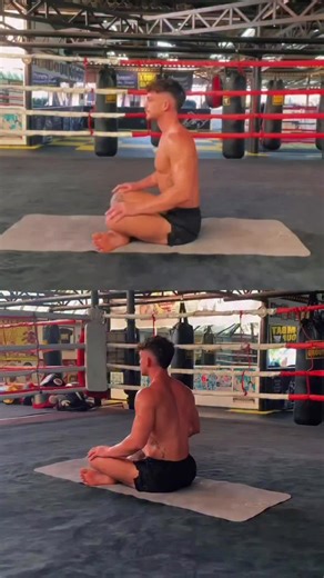 Testosterone improving, core strength, shoulders strong. start doing that crab 🦀