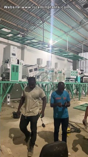 60TPD Rice Mill Machine and Grain Silo, Paddy Dryer for Our Customer - Co-Grain Rice Mill