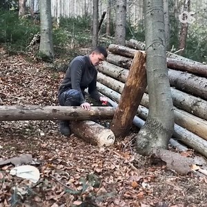 58K views · 990 reactions | Building a bushcraft log cabin for survival in the woods living off the grid.#adventure #outdoors #survival #camping #cabinlife #cabincrew #wilderness #logcabin | Camping videos Survival | Facebook