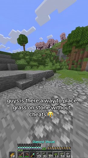 Minecraft: Can You Place Grass on Stone Without Cheats?
