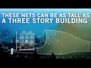 How Seafood Is Caught: Bottom Trawling