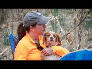 2021 Mar. French Brittany field trial